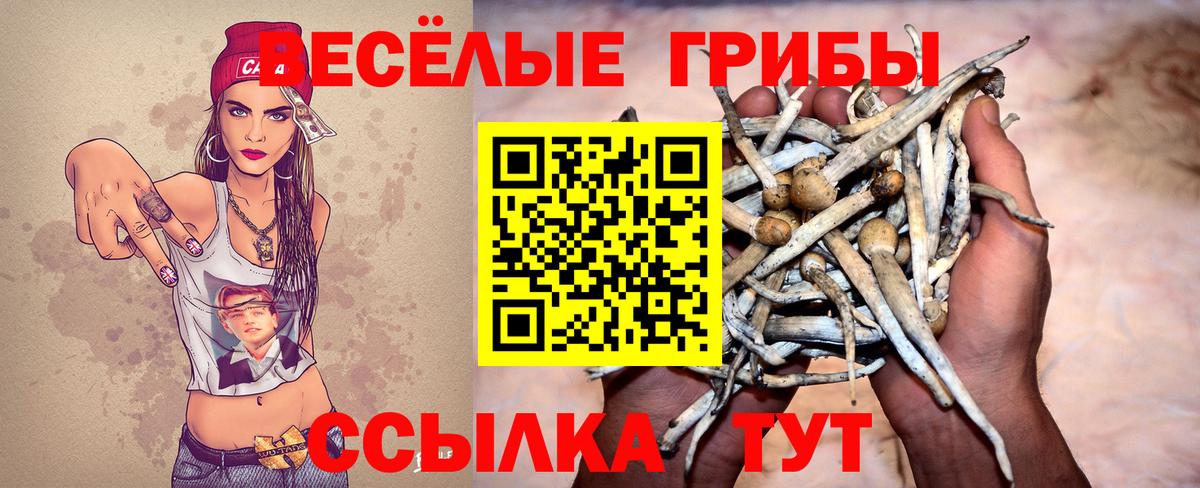 Псилоцибиновые грибы Psilocybine cubensis  Вход с VPN  Лысьва 
