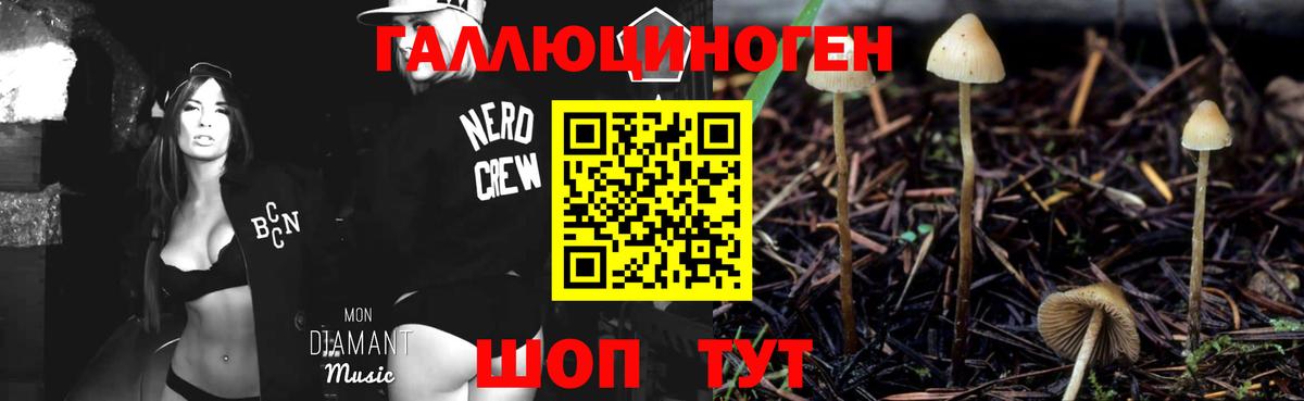 Псилоцибиновые грибы MAGIC MUSHROOMS Лысьва